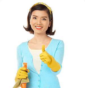 House Cleaner